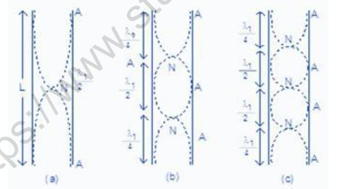 NEET-Physics-Sound-and-Light-Waves-Revision-Notes-unlocked 1