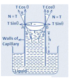 NEET-Physics-Surface-Tension-Revision-Notes 1