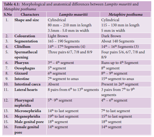 NEET-Zoology-Organ-and-Organ-Systems-in-Animals-Chapter-Notes 4