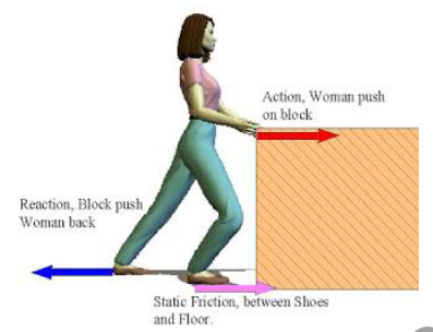 Notes CBSE Class 12 Physical Education Kinesiology Biomechanics and Sports