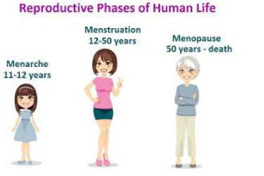 Notes CBSE Class 12 Physical Education Women and Sports