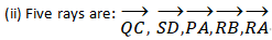 RD Sharma Solutions Class 6 Maths Chapter 10 Basic geomatrical concepts-24