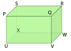 RD Sharma Solutions Class 6 Maths Chapter 16 Understanding Three Dimensional Shapes-A2