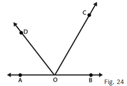 RD Sharma Solutions Class 7 Chapter 14 Line and Angles