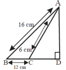 CBSE Class 7 Mathematics Triangles and Its Properties Assignment Set F