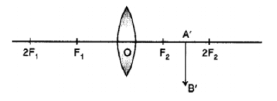 very_important_practical_based_questions_to_prepare_for_CBSE_Class 1