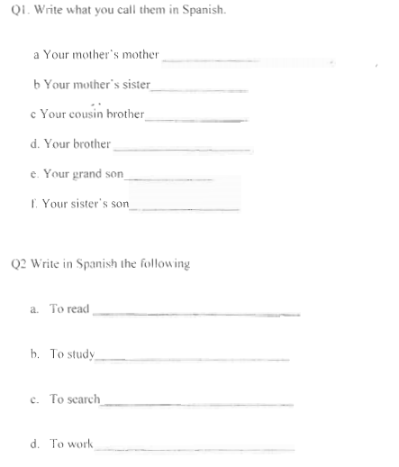 CBSE Class 4 Spanish Model Test Paper