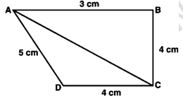 RD Sharma Solutions Class 9 Chapter 12 Herons Formula