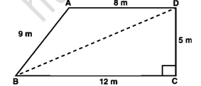 RD Sharma Solutions Class 9 Chapter 12 Herons Formula