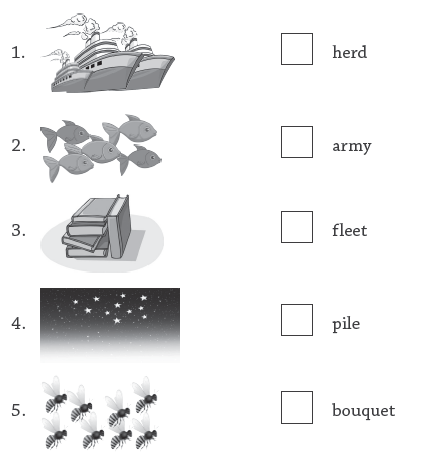 cbse class 3 english collective nouns worksheet practice worksheet for english