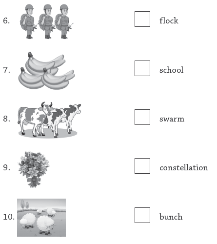 51-eng-grammar-worksheet-class-3 2