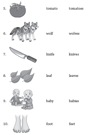 51-eng-grammar-worksheet-class-3 6