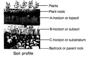 7th, SCIENCE, 27-07-2021 2