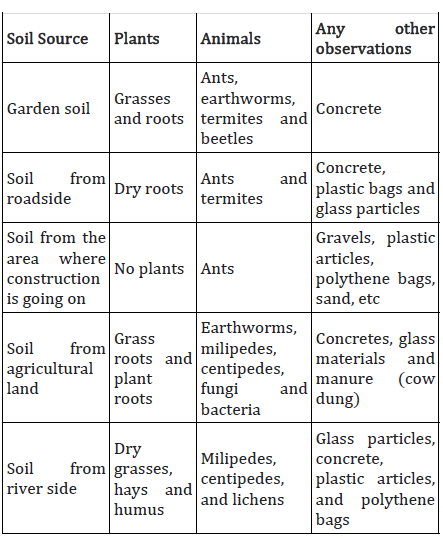 CBSE Class 7 Science Soil Assignment Set A