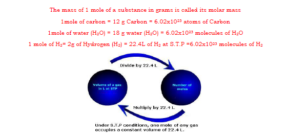 CBSE Class 11 Chemistry Revision Some Basic Concepts 2