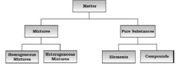 CBSE Class 11 Chemistry Some Basic Concepts of Chemistry 2