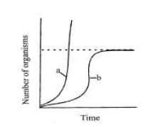 CBSE Class 12 Biology Sample Paper 2010 1