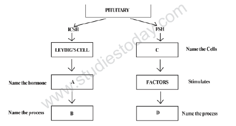 CBSE Class 12 Biology Sample Paper 2012 (4) 2