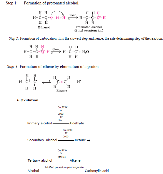 CBSE Class 12 Chemistry Revision Alcohol Phenol Ether 1