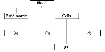 CBSE Class 9 Science Sample Paper SA1 2013 (2) 1