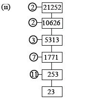 real numbers notes 5