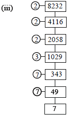 real numbers notes 6