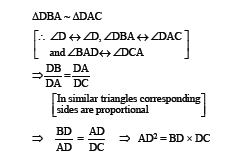 triangles notes 49