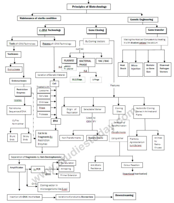 class_12_biology_concept_10