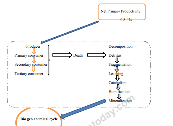 class_12_biology_concept_5