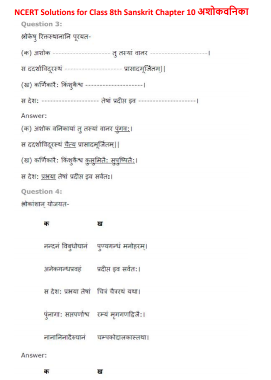 class_8_Sanskrit_solutions_11