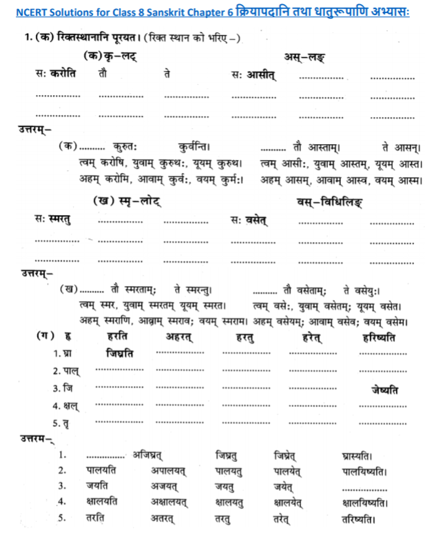 class_8_Sanskrit_solutions_19