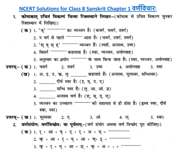 class_8_Sanskrit_solutions_28