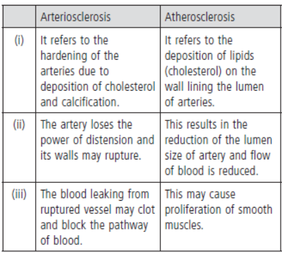 CBSE Class 11 Biology HOTs Body Fluids And Circulation