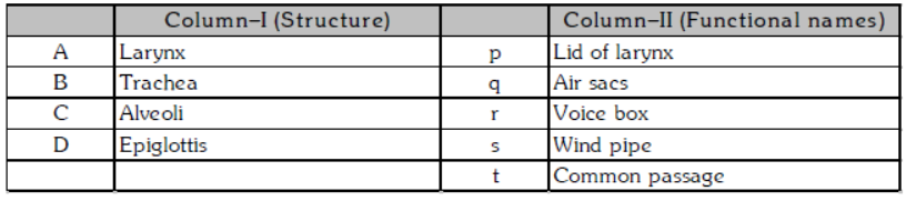 Chapter 6 Life Processes