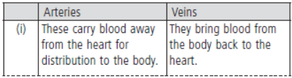 CBSE Class 11 Biology HOTs Body Fluids And Circulation