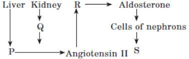 CBSE Class 11 Biology Excretory Products And Their Elimination Notes