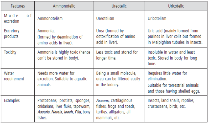 CBSE Class 11 Biology HOTs Excretory Products And Their Elimination