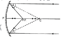 C-19