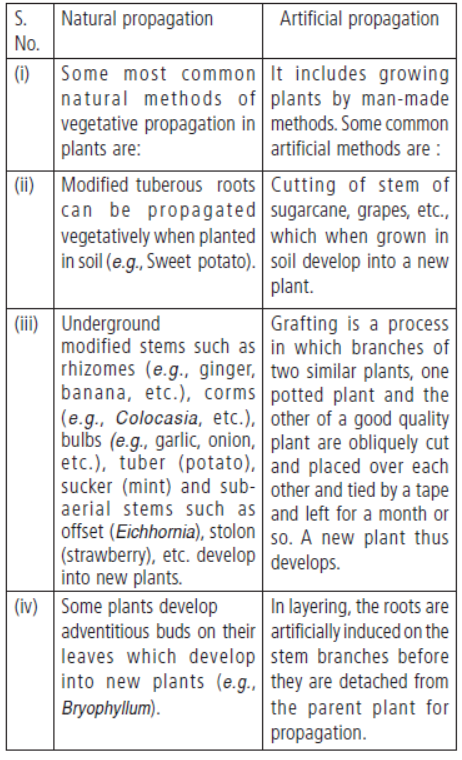 CBSE Class 10 Biology How Do Organisms Reproduce Worksheet Set B