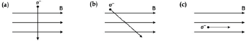 CBSE Class 10 Physics Magnetic Effect of Electric Current Worksheet Set B