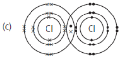 CBSE Class 10 Science Carbon and its Compounds Worksheet