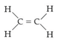 CBSE Class 10 Science HOTs Question Carbon And its Compounds Set A