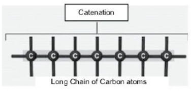 CBSE Class 10 Science HOTs Question Carbon And its Compounds Set A