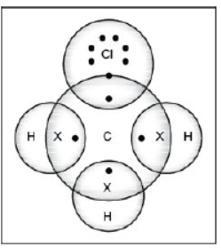 CBSE Class 10 Science HOTs Question Carbon And its Compounds Set A 