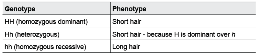 CBSE Class 10 Science HOTs Question Heredity And Evolution Set B