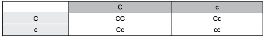 CBSE Class 10 Science HOTs Question Heredity And Evolution Set B