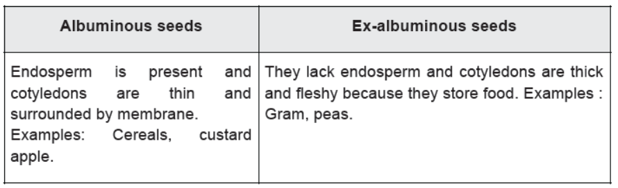 CBSE Class 10 Science HOTs Question How Do Organisms Reproduce Set B