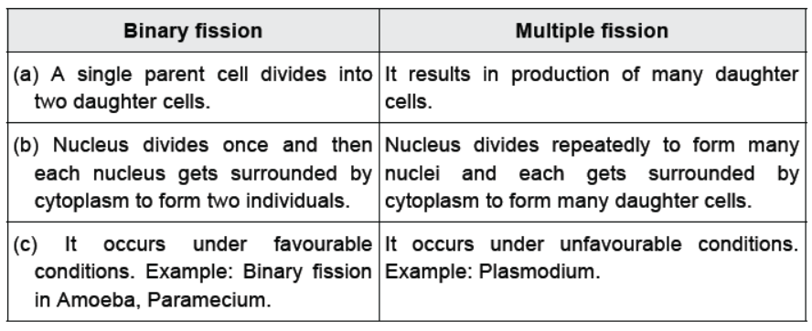 CBSE Class 10 Science HOTs Question How Do Organisms Reproduce Set B