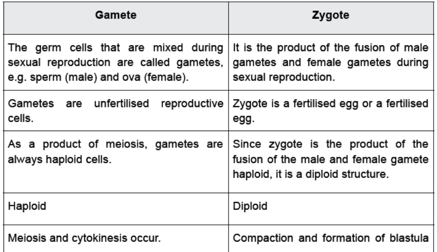 CBSE Class 10 Science HOTs Question How Do Organisms Reproduce Set B