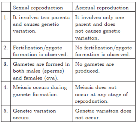 CBSE Class 10 Science HOTs Question How Do Organisms Reproduce_2